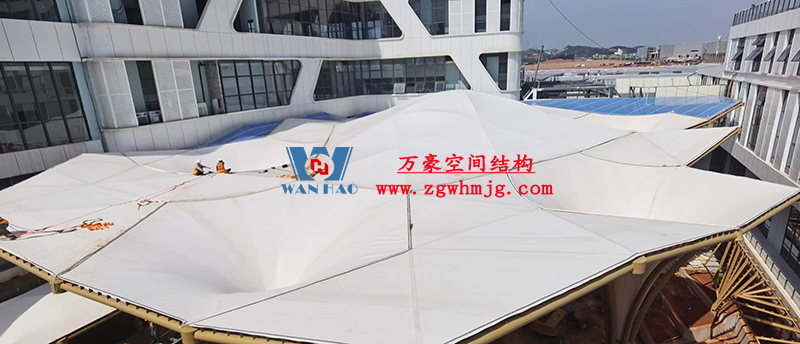 前瞻第19届东博会：共享RCEP新机遇 再添中国东盟合作新动能