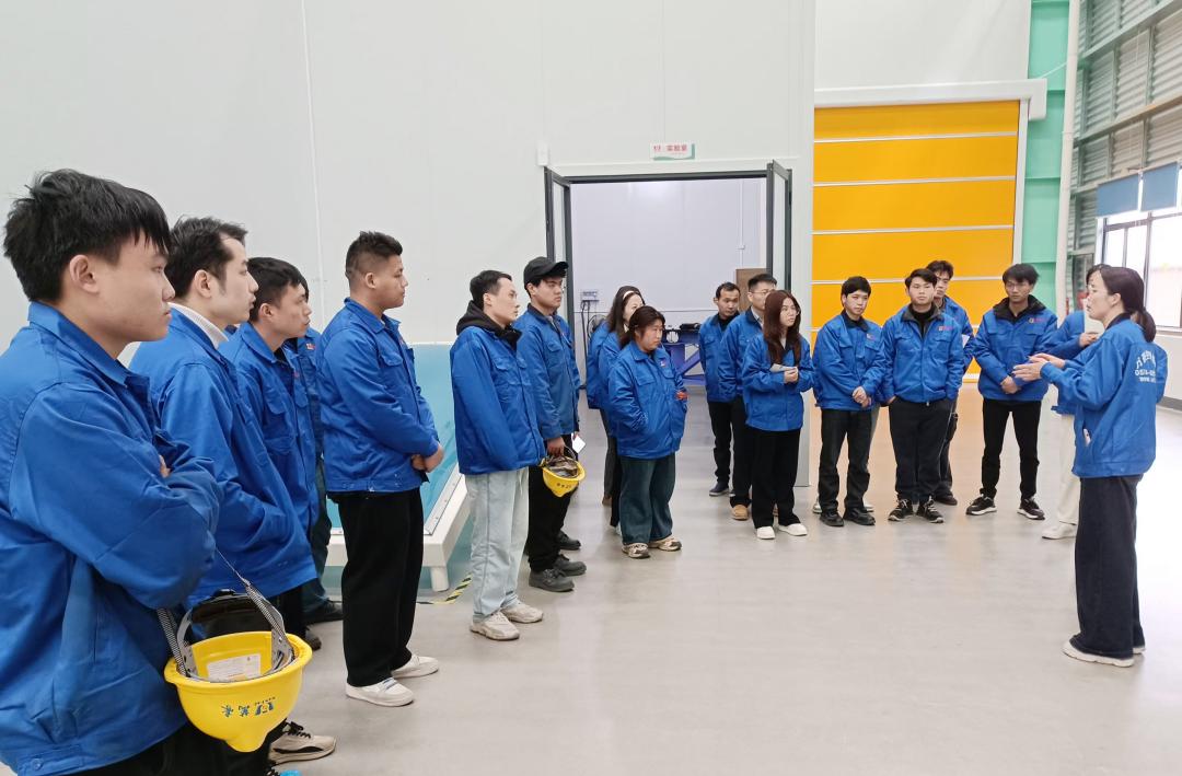 凝“新”聚力，奋勇前行|新员工岗前专业知识培训，开启征程新篇章