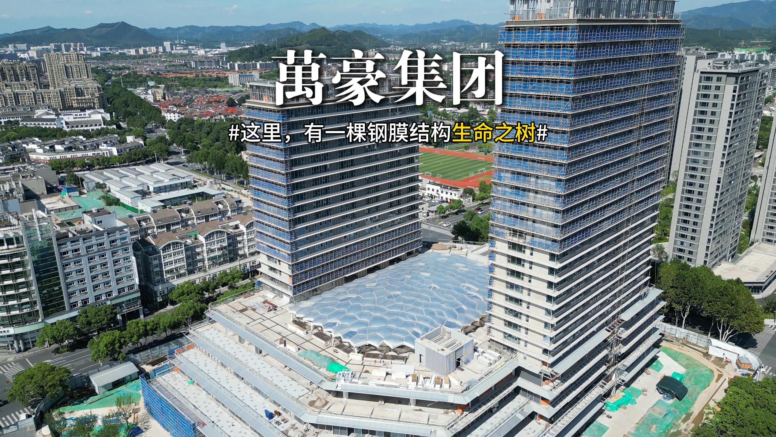 钢膜结构组成的生命之树