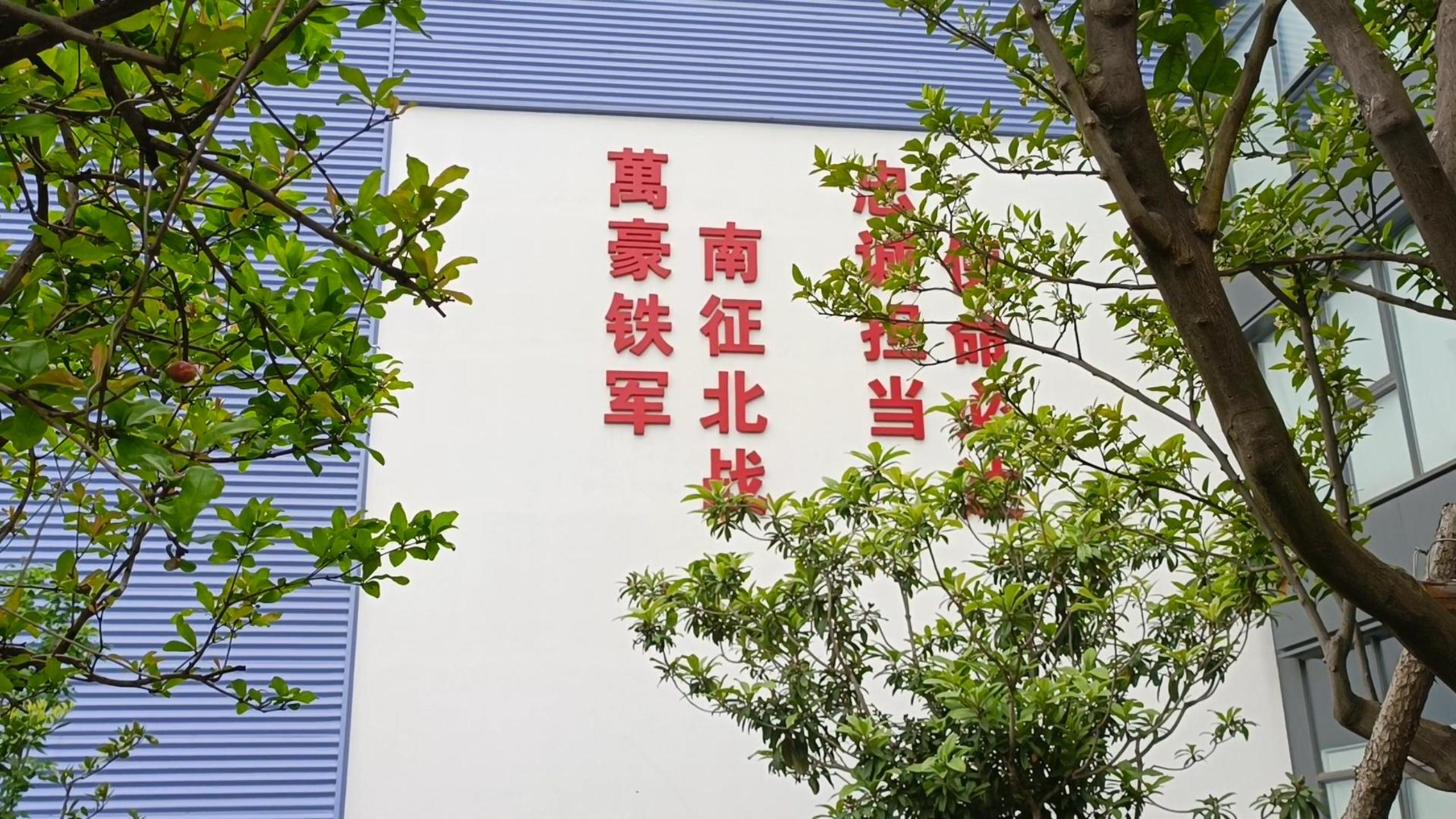 ​初夏的风让职场时光变得甜蜜