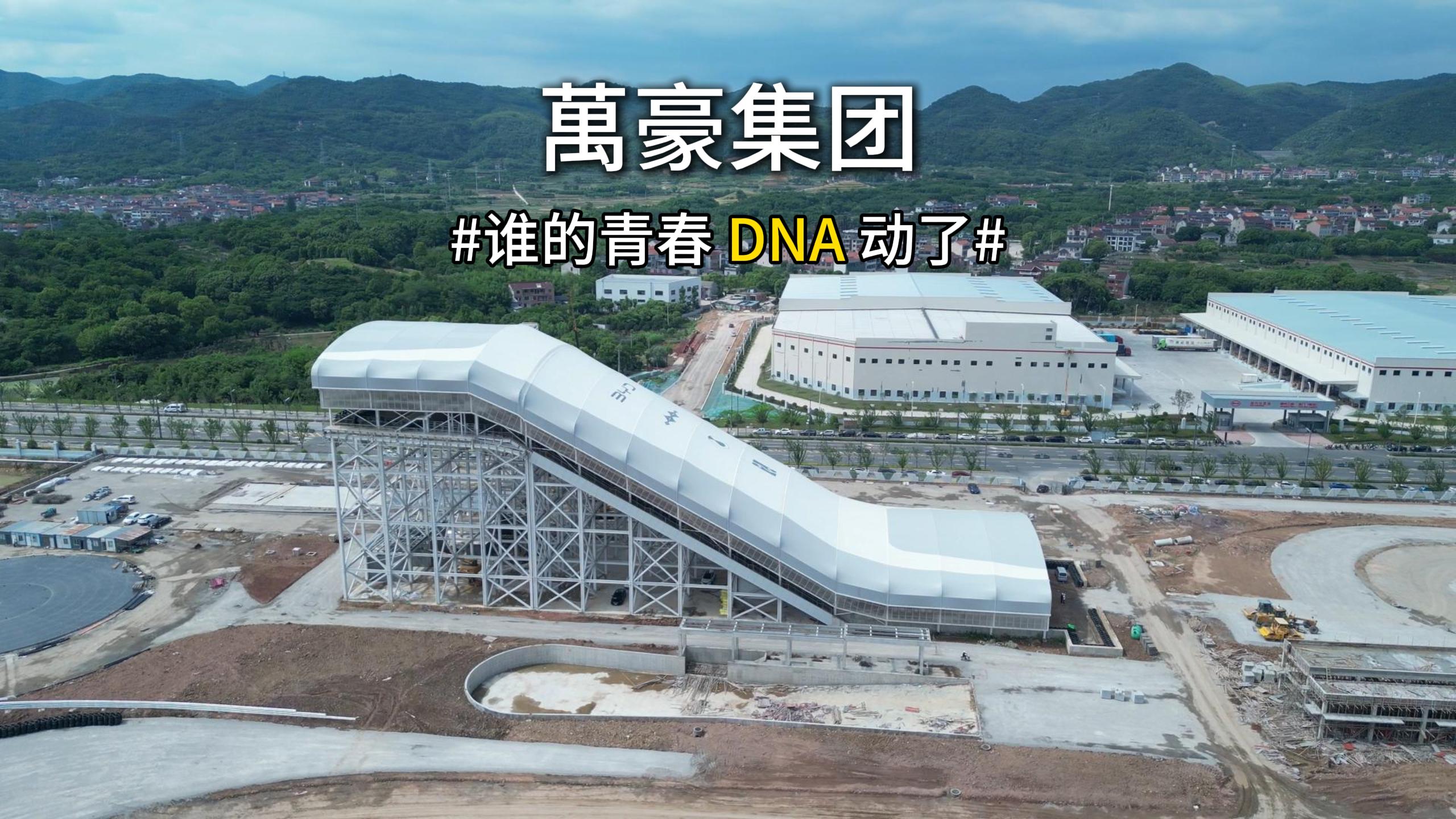 谁的青春 DNA 动了